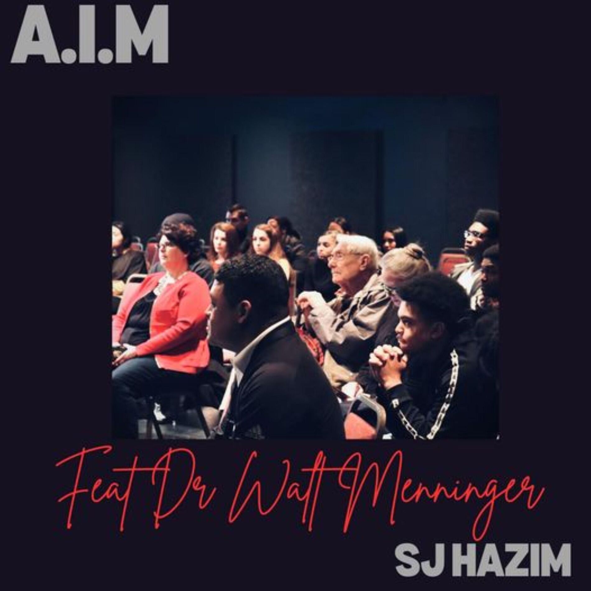 Album cover of AIM