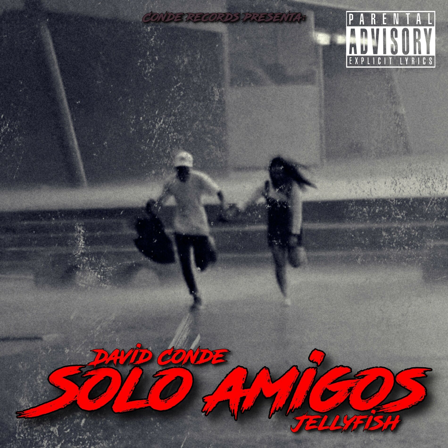 Album cover of Solo Amigos