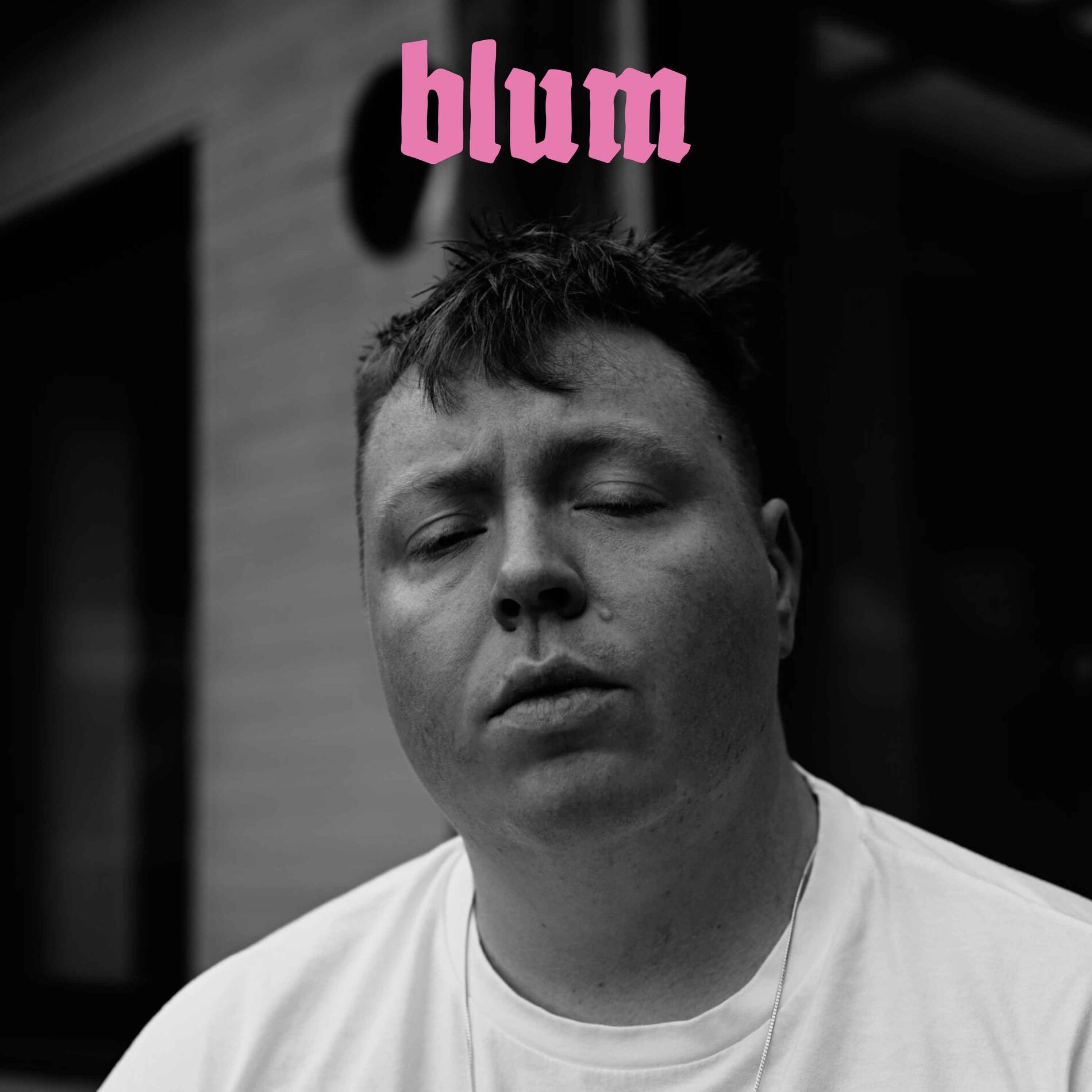 Album cover of blum