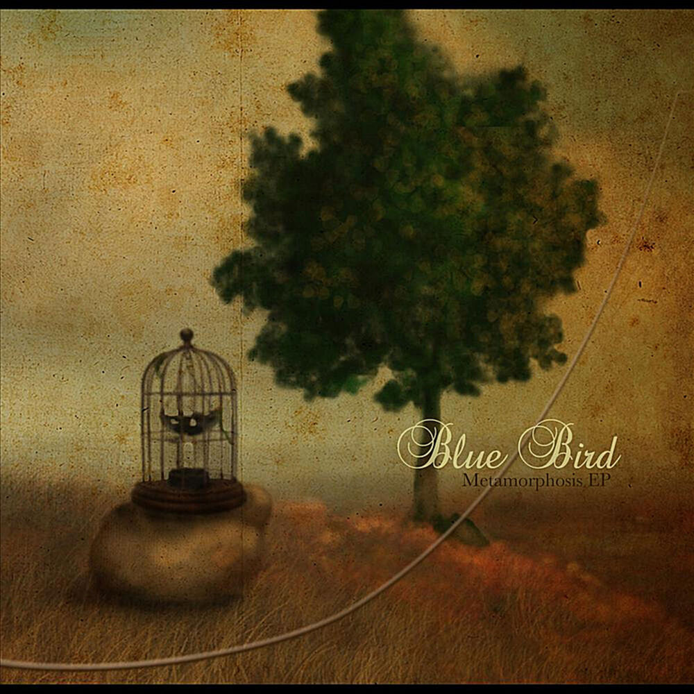 Picture of Metamorphosis - EP