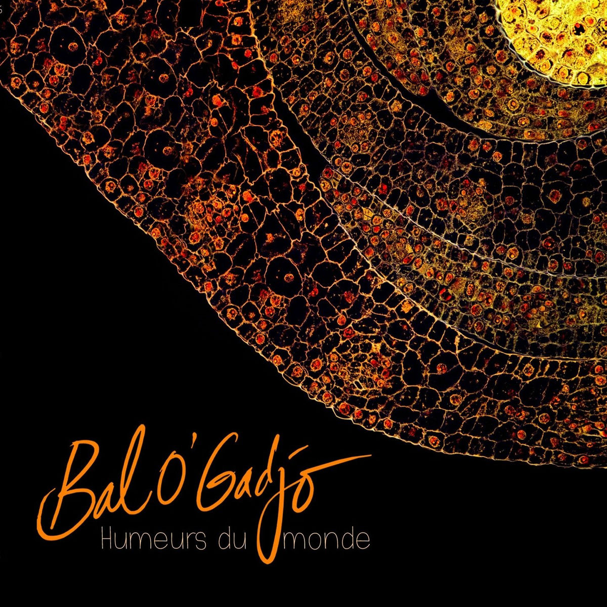 Album cover of Humeurs du monde