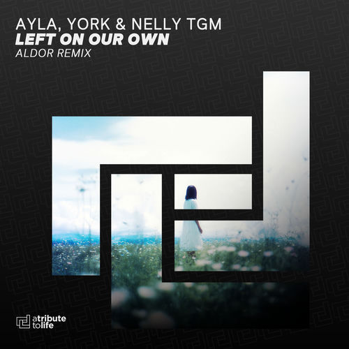 Left On Our Own (Aldor Remix)
