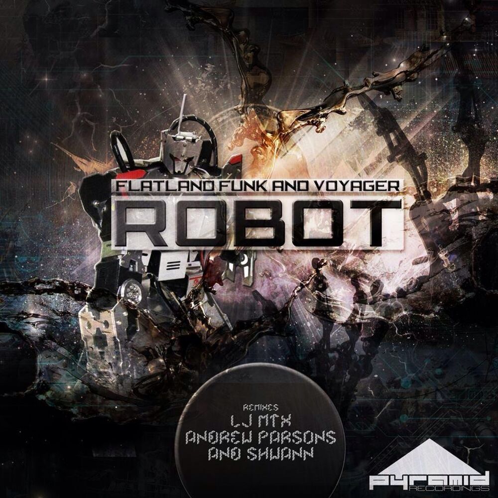 Picture of Robot
