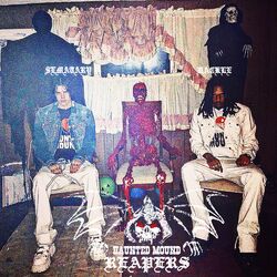 Cover of Haunted Mound Reapers (feat. Hackle)