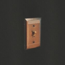 Cover of Light Switch