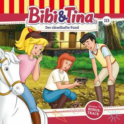 Cover of Folge 113: Der rätselhafte Fund