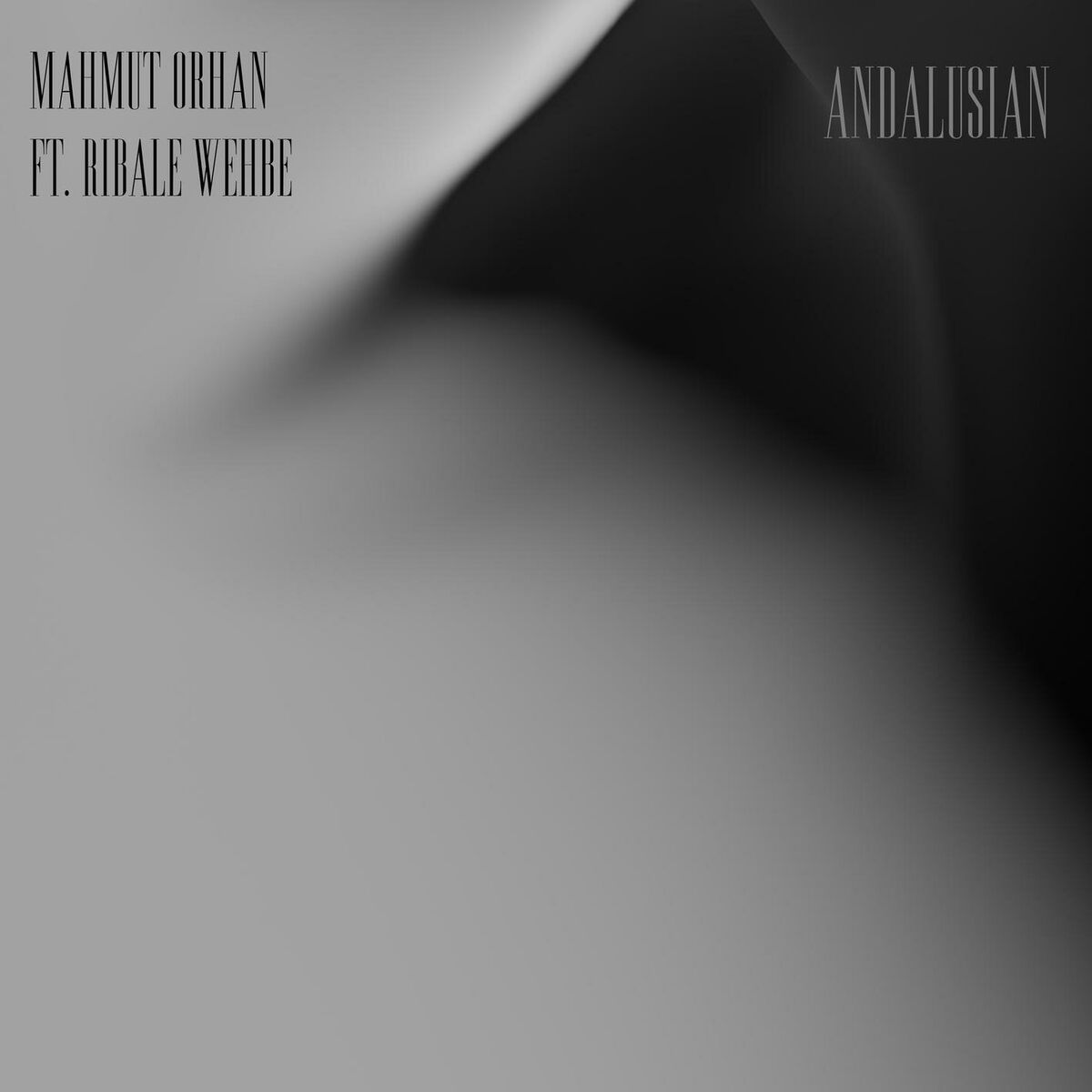 Album cover of Andalusian (feat. Ribale Wehbe)