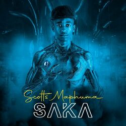Cover of Saka