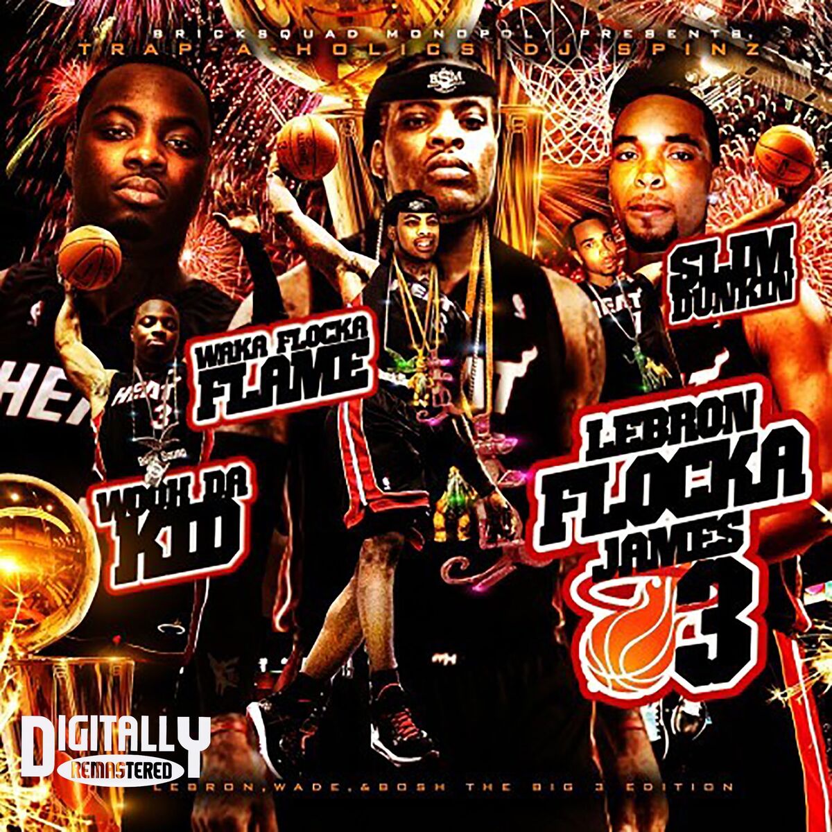 Album cover of LeBron Flocka James 3