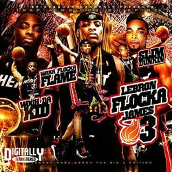 Cover of LeBron Flocka James 3