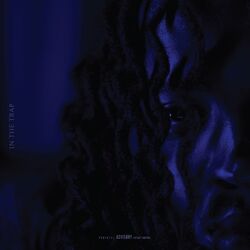 Cover of IN THE TRAP