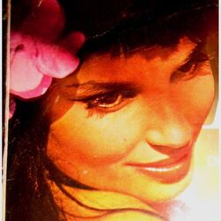 Cover of Modern Conception