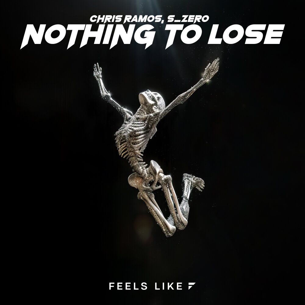 Picture of Nothing To Lose