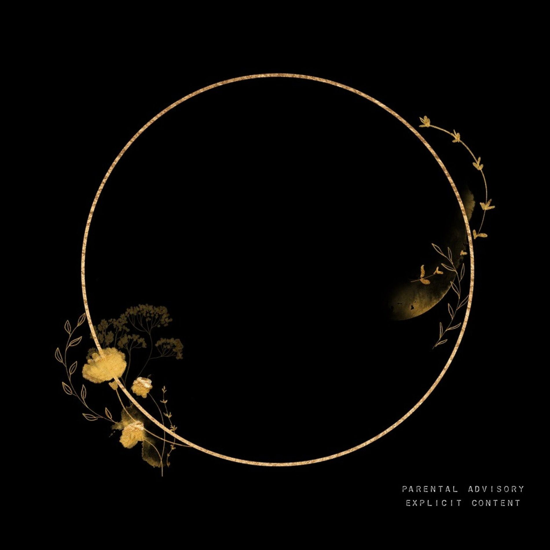 Album cover of Lessons