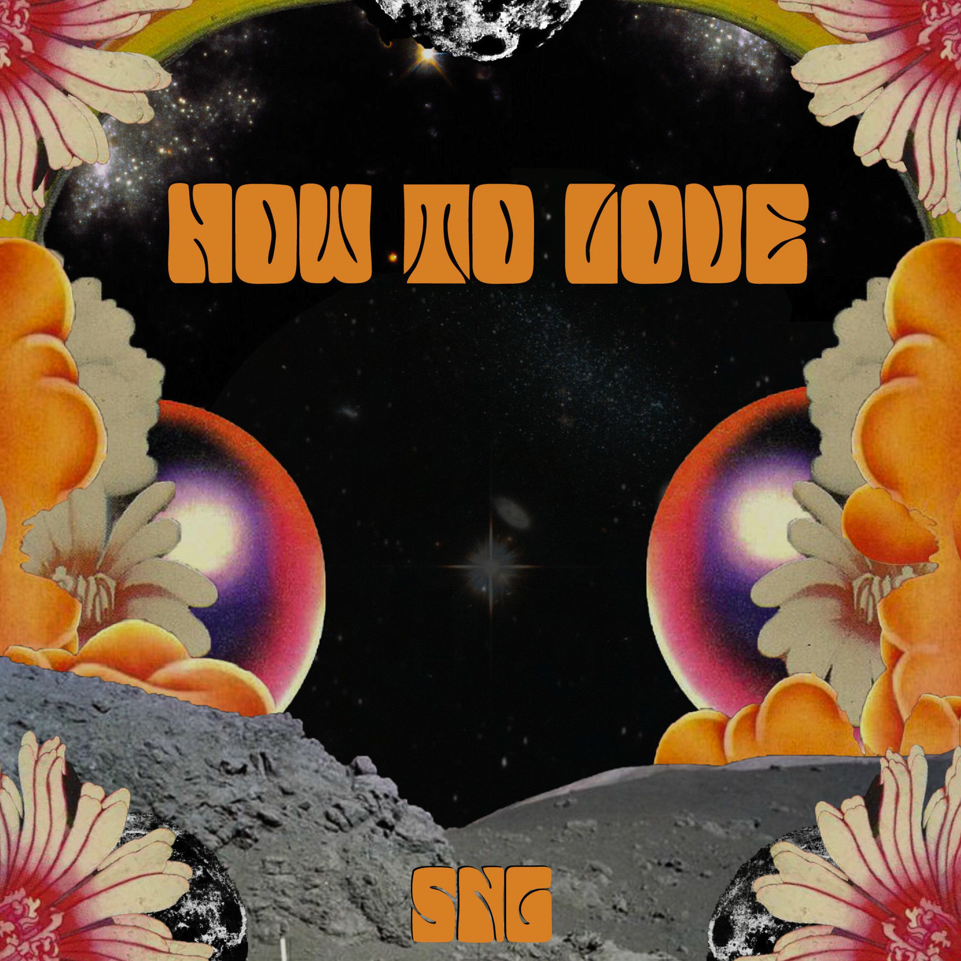 Album cover of How to Love