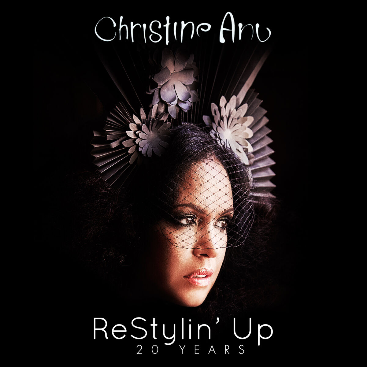 Album cover of ReStylin' Up 20 Years