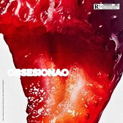 Cover of OBSESIONAO