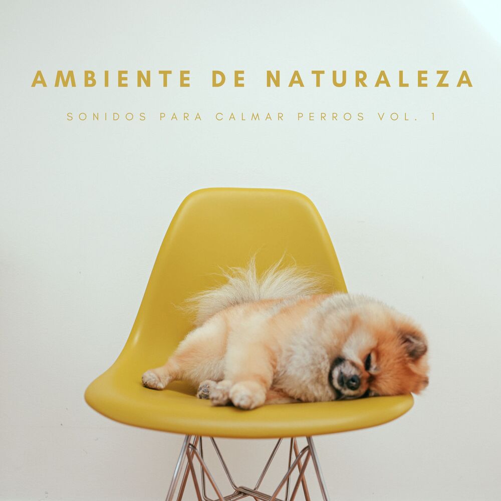 Picture of Ambiente De Naturaleza: Sonidos Para Calmar Perros Vol. 1