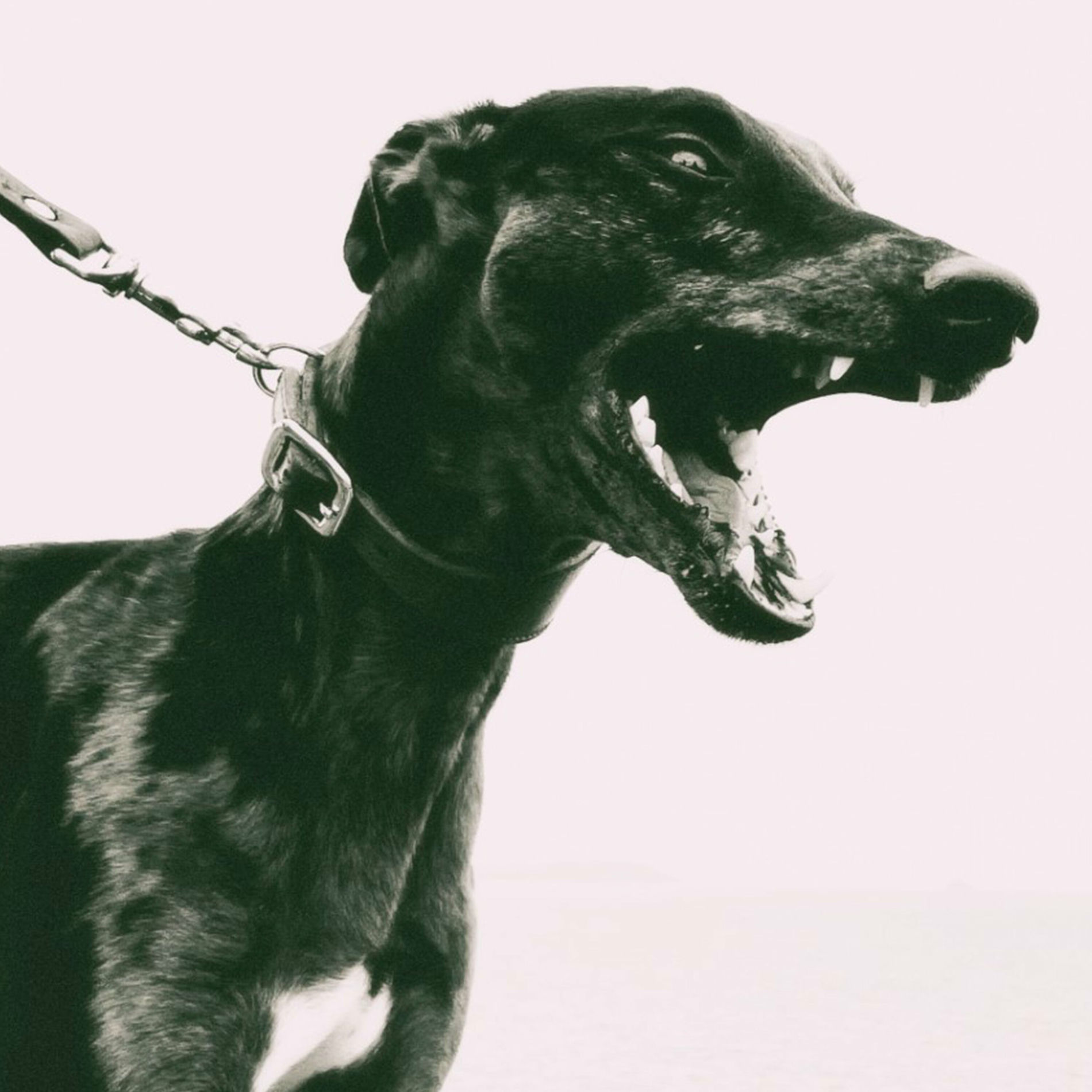 Album cover of The Snitching Hour