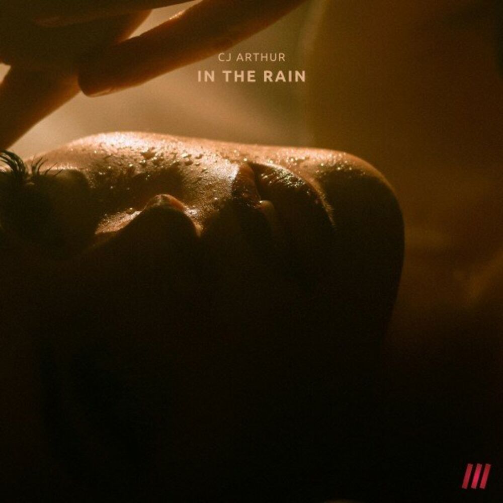 Picture of In the Rain