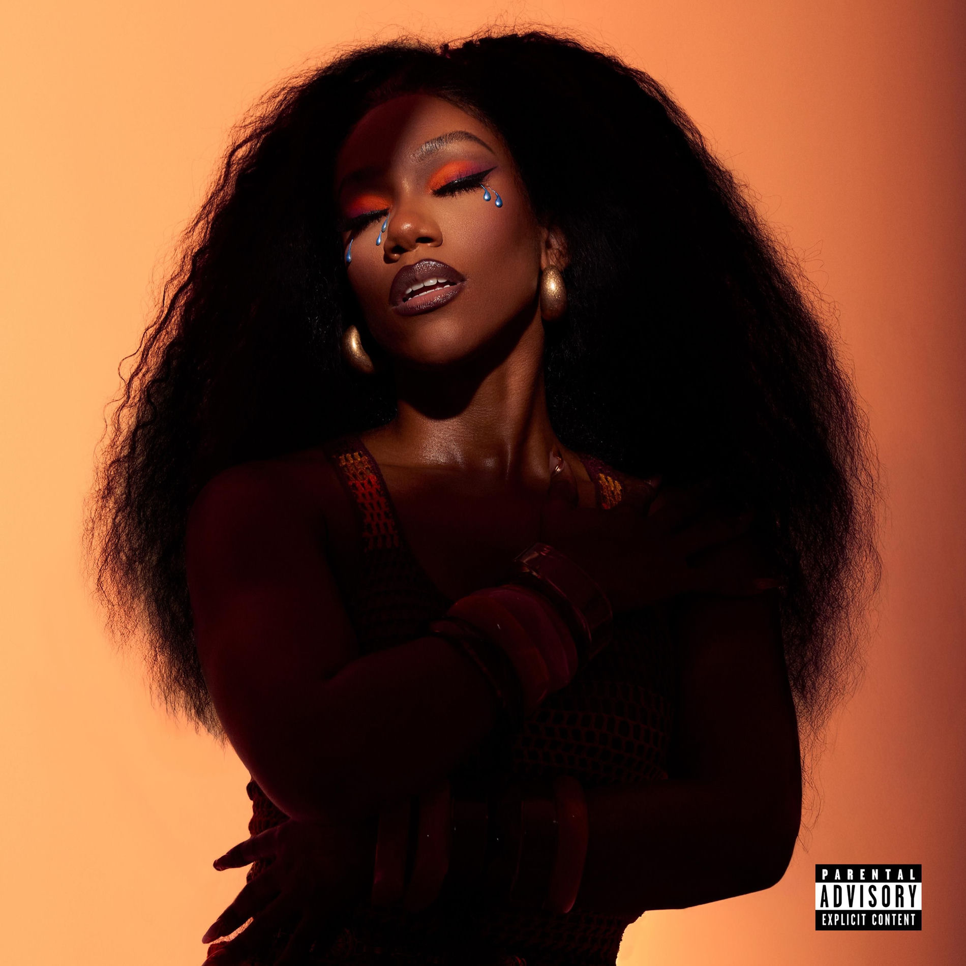 Album cover of MOOD SWINGS