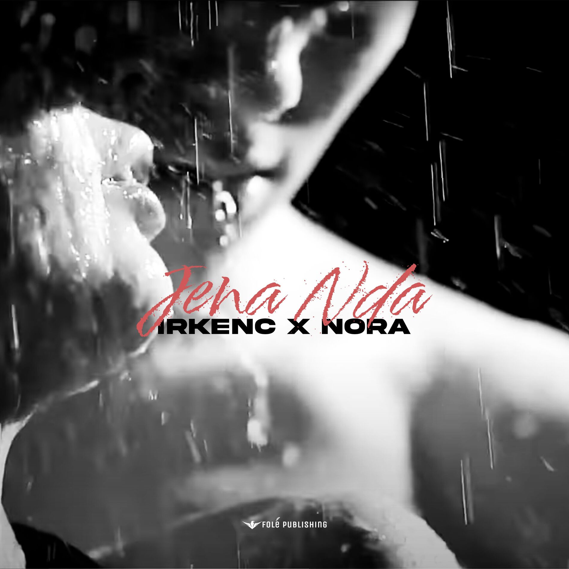 Album cover of Jena nda