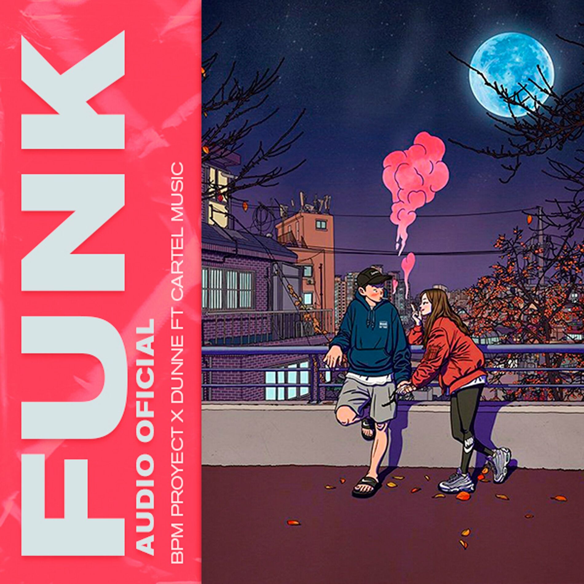 Album cover of Funk