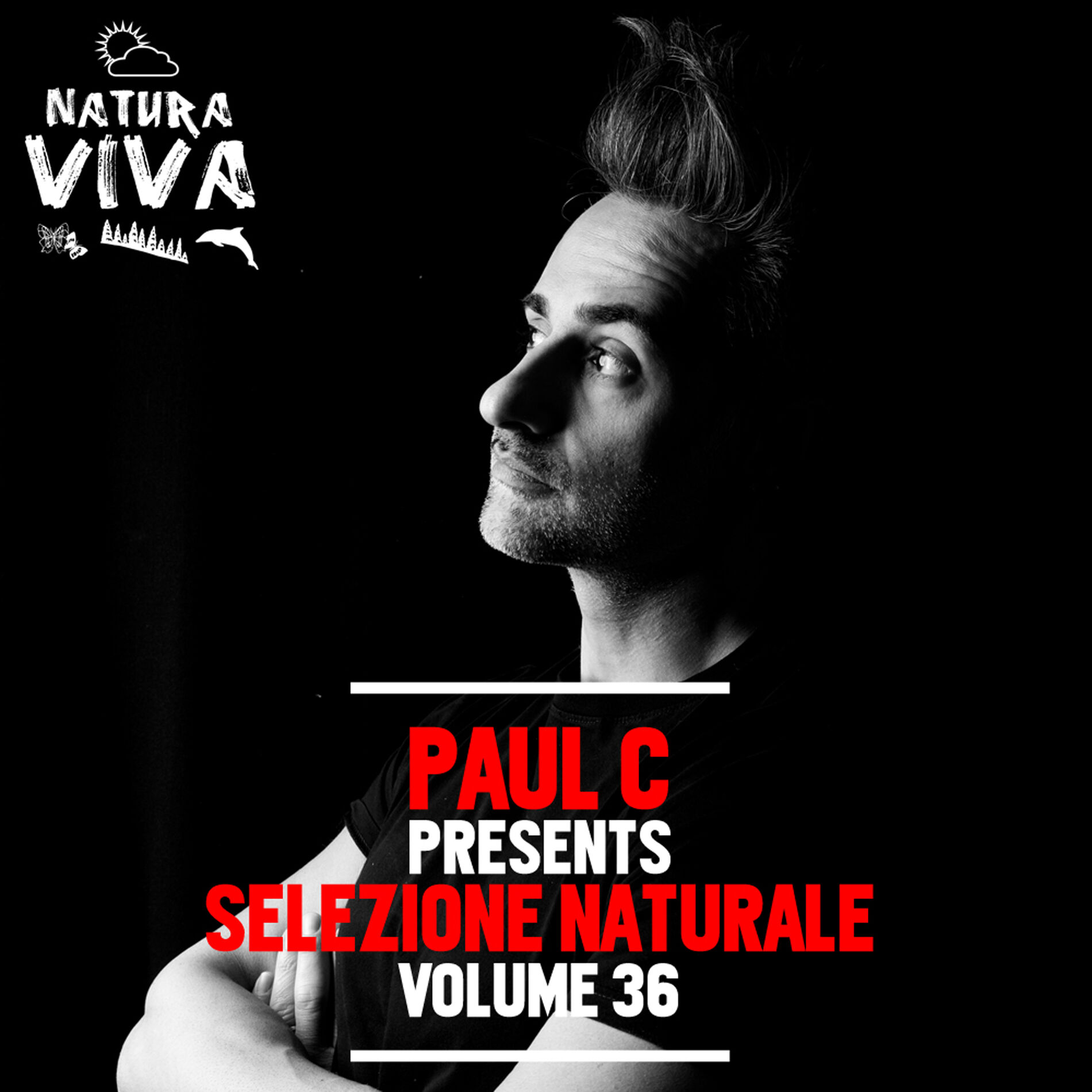 Album cover of Paul C Pres. Selezione Naturale, Vol. 36