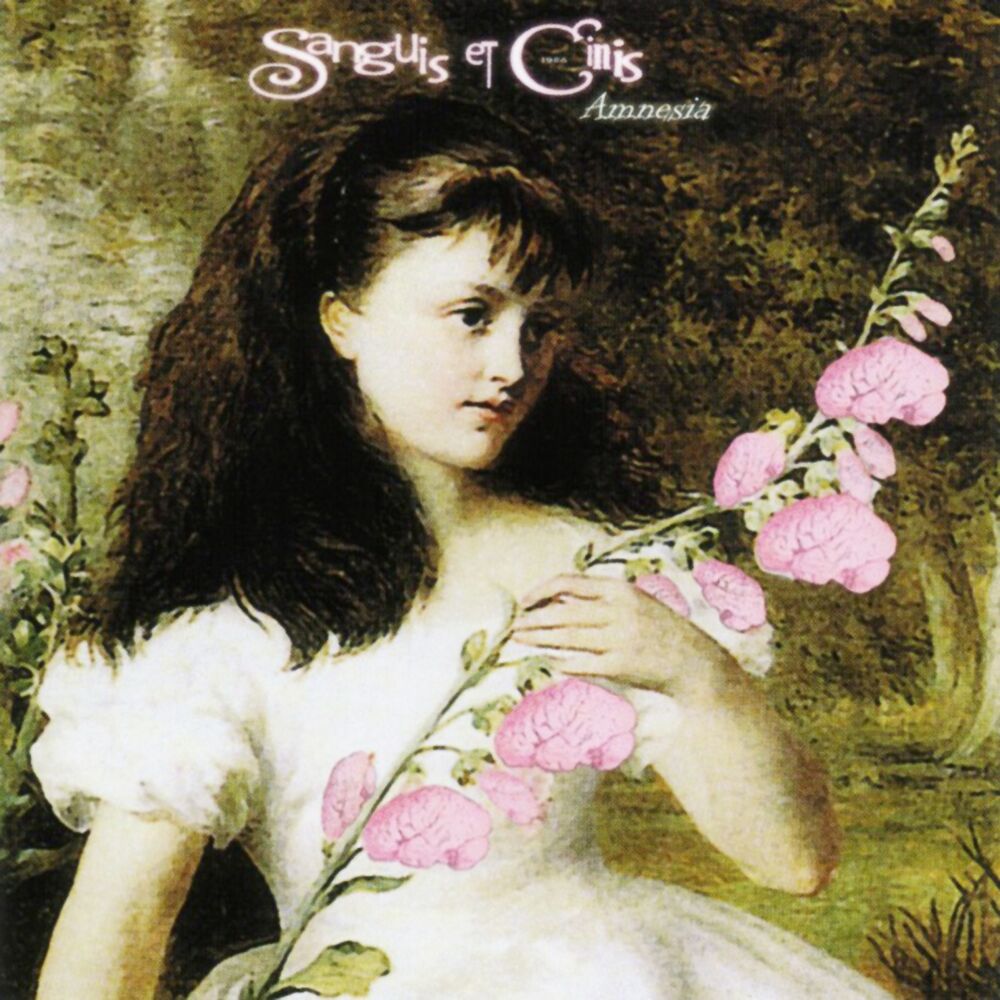 Picture of Amnesia