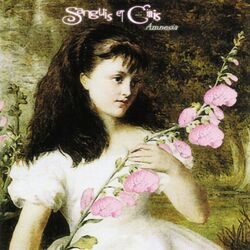 Cover of Amnesia