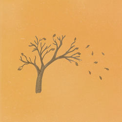 Drifting Leaves