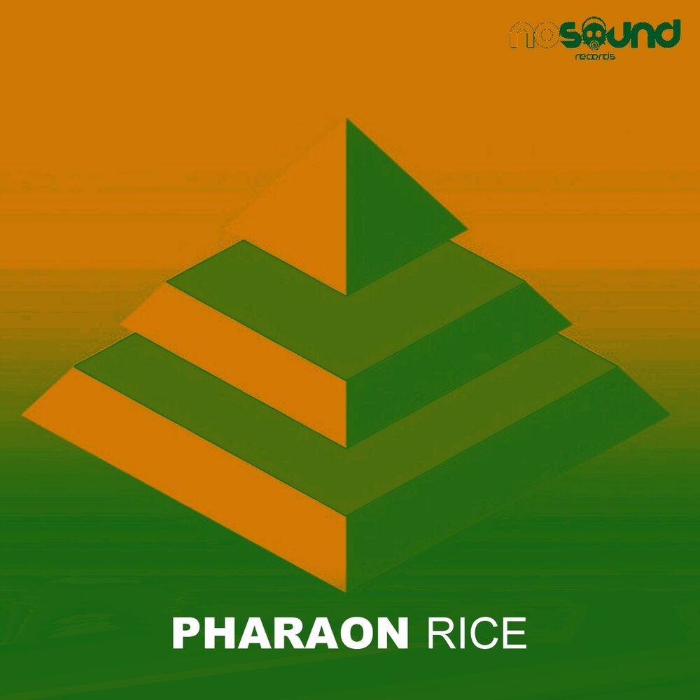 Picture of Rice