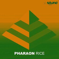 Cover of Rice