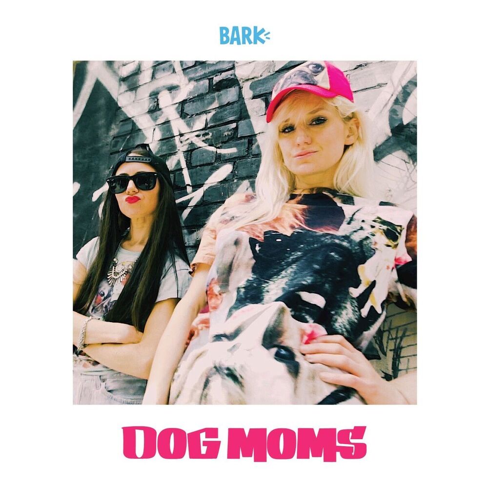 Picture of Dog Mom Anthem