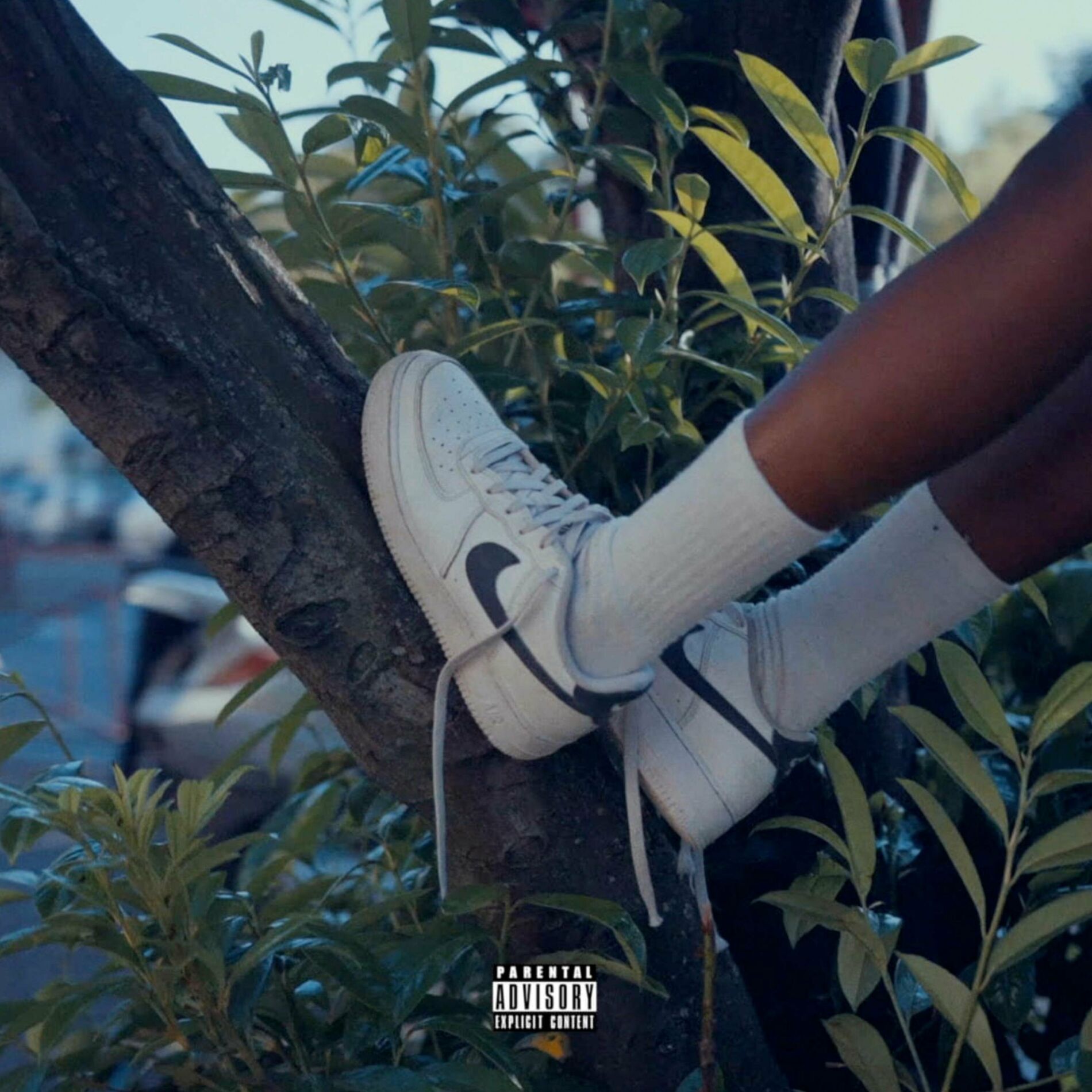 Album cover of Tomber pour mieux se relever