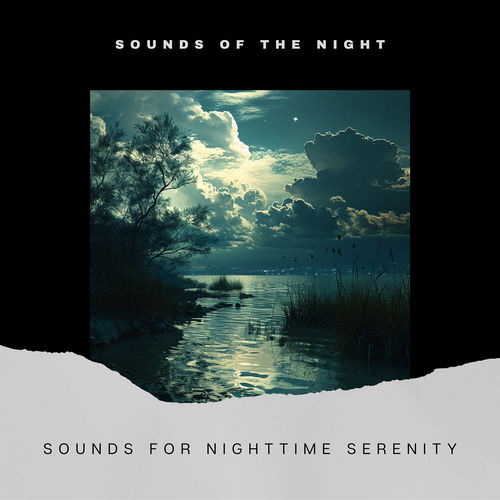 Sounds for Nighttime Serenity
