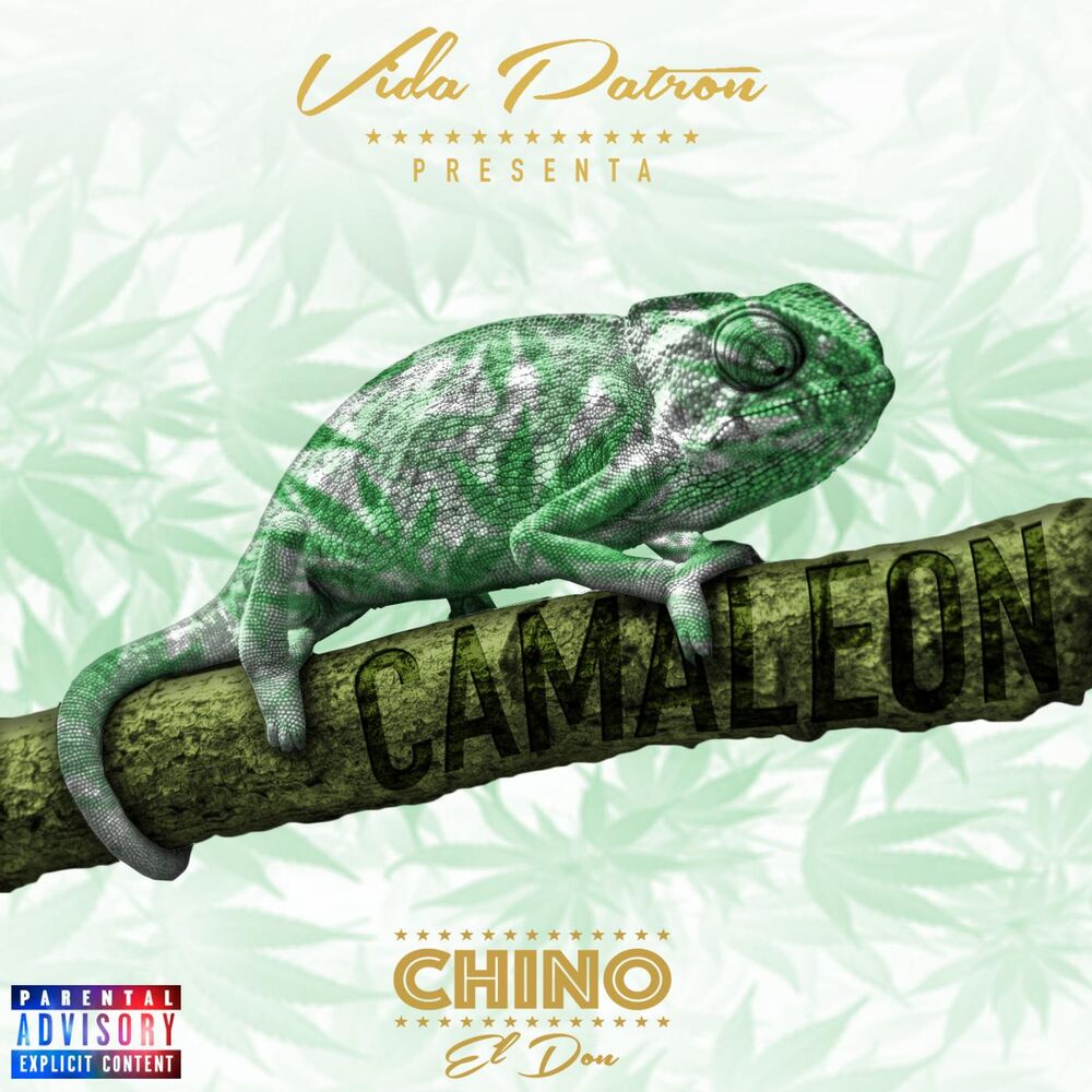 Picture of Camaleon