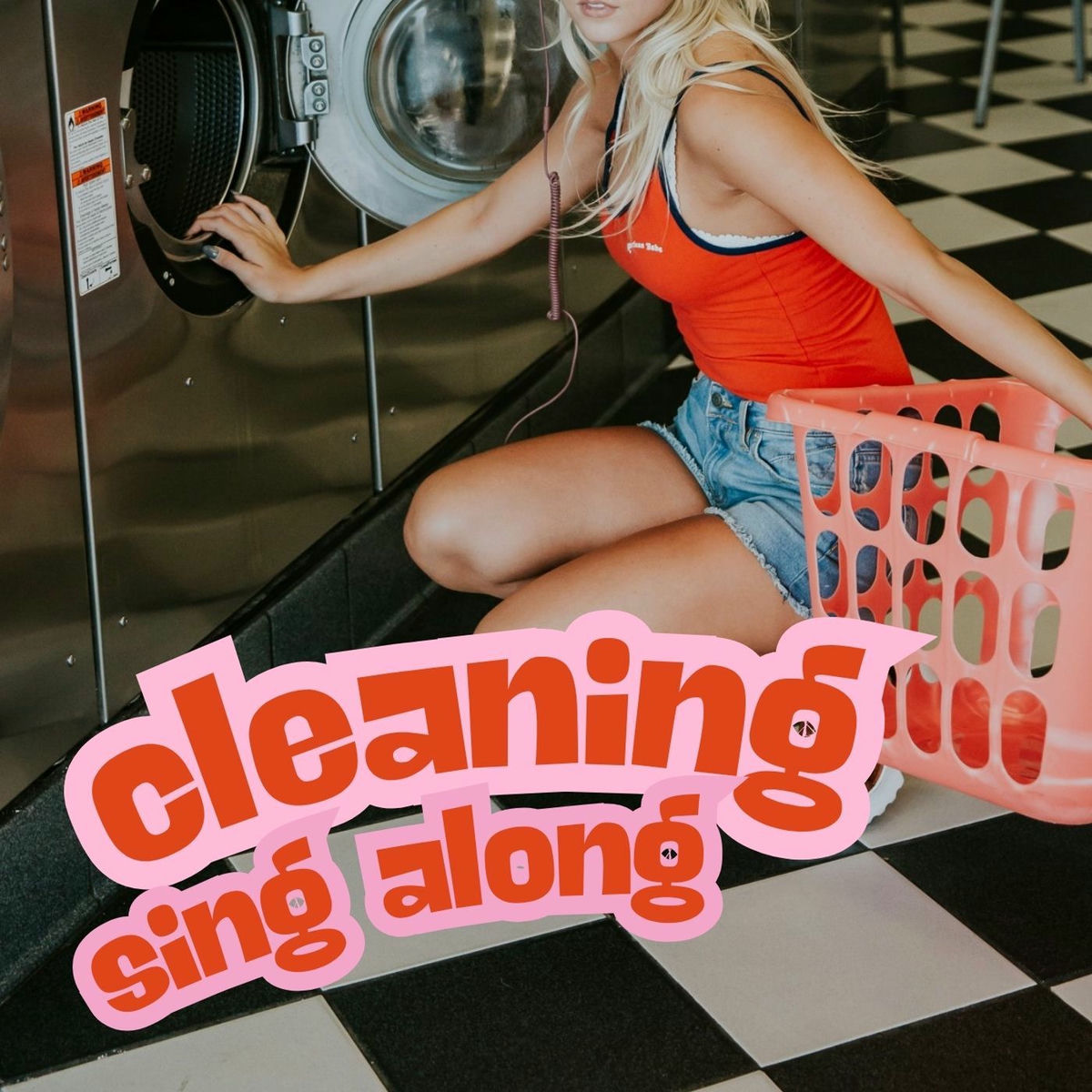 Album cover of cleaning sing along