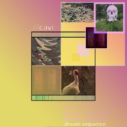 lucid reality i