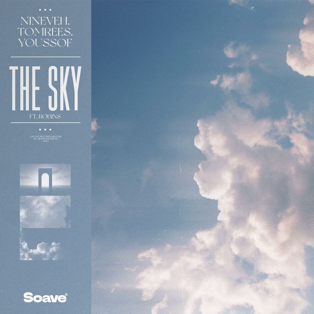 Picture of The Sky (feat. ROBINS)
