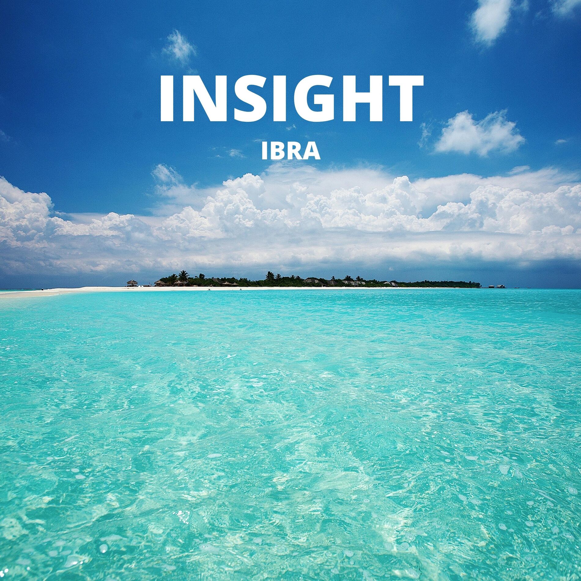 Album cover of INSIGHT