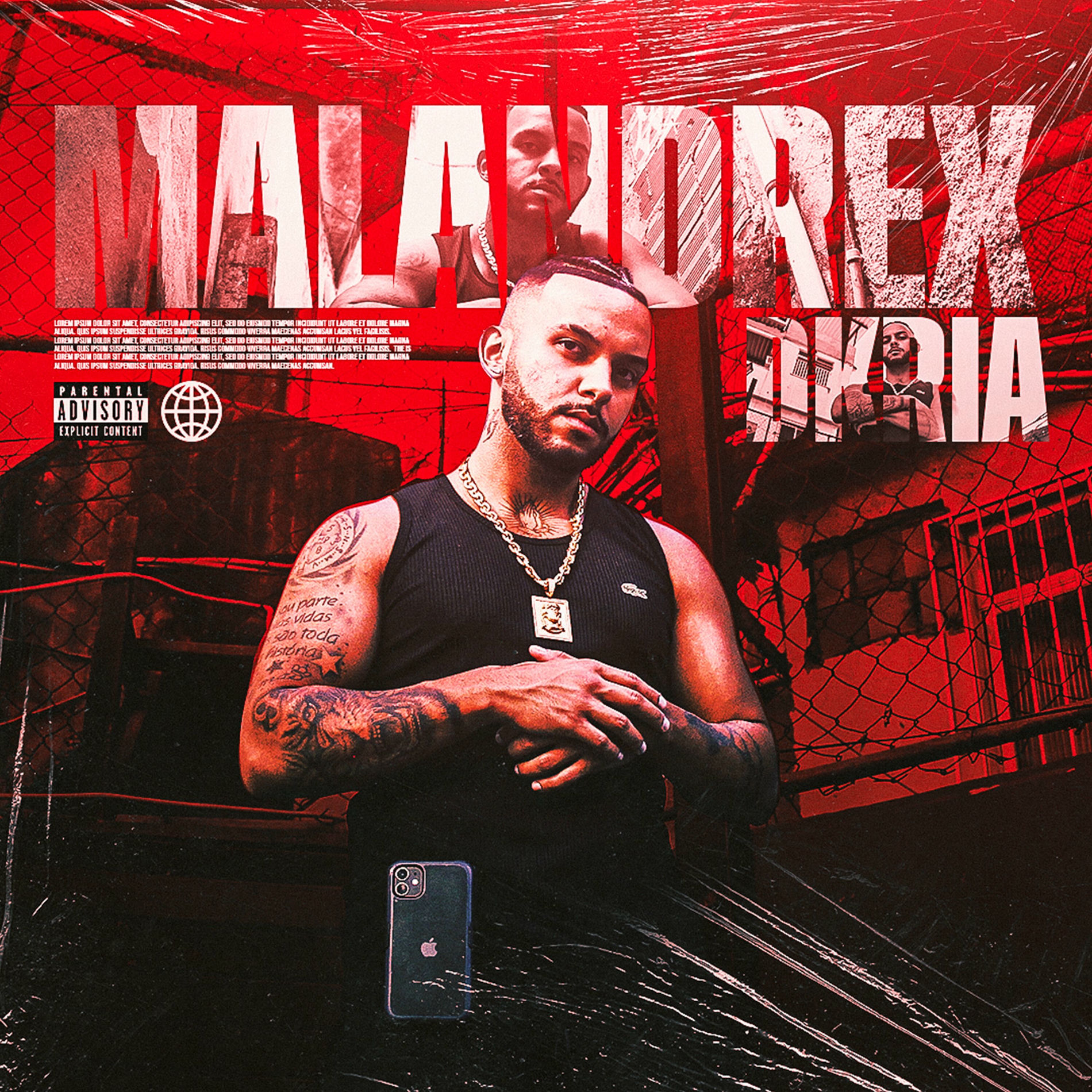 Album cover of Malandrex