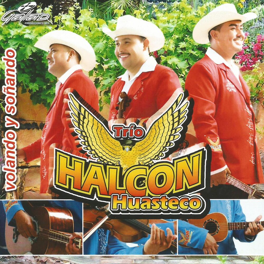 Picture of Volando y Soñando
