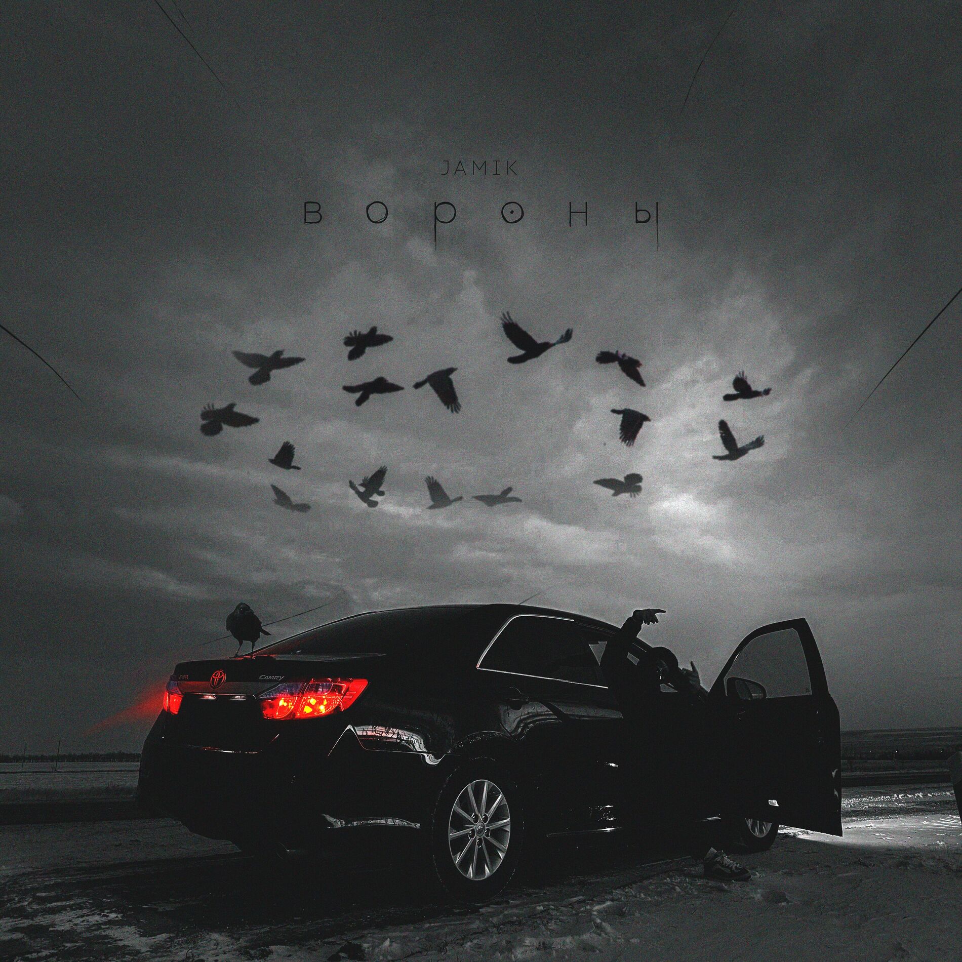 Album cover of Вороны