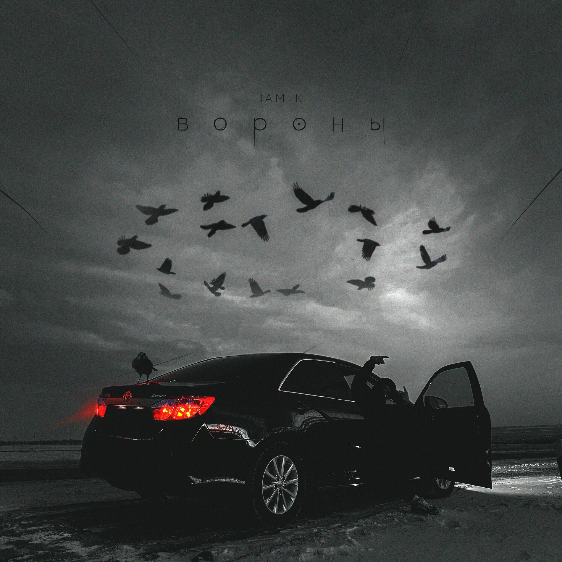 Album cover of Вороны