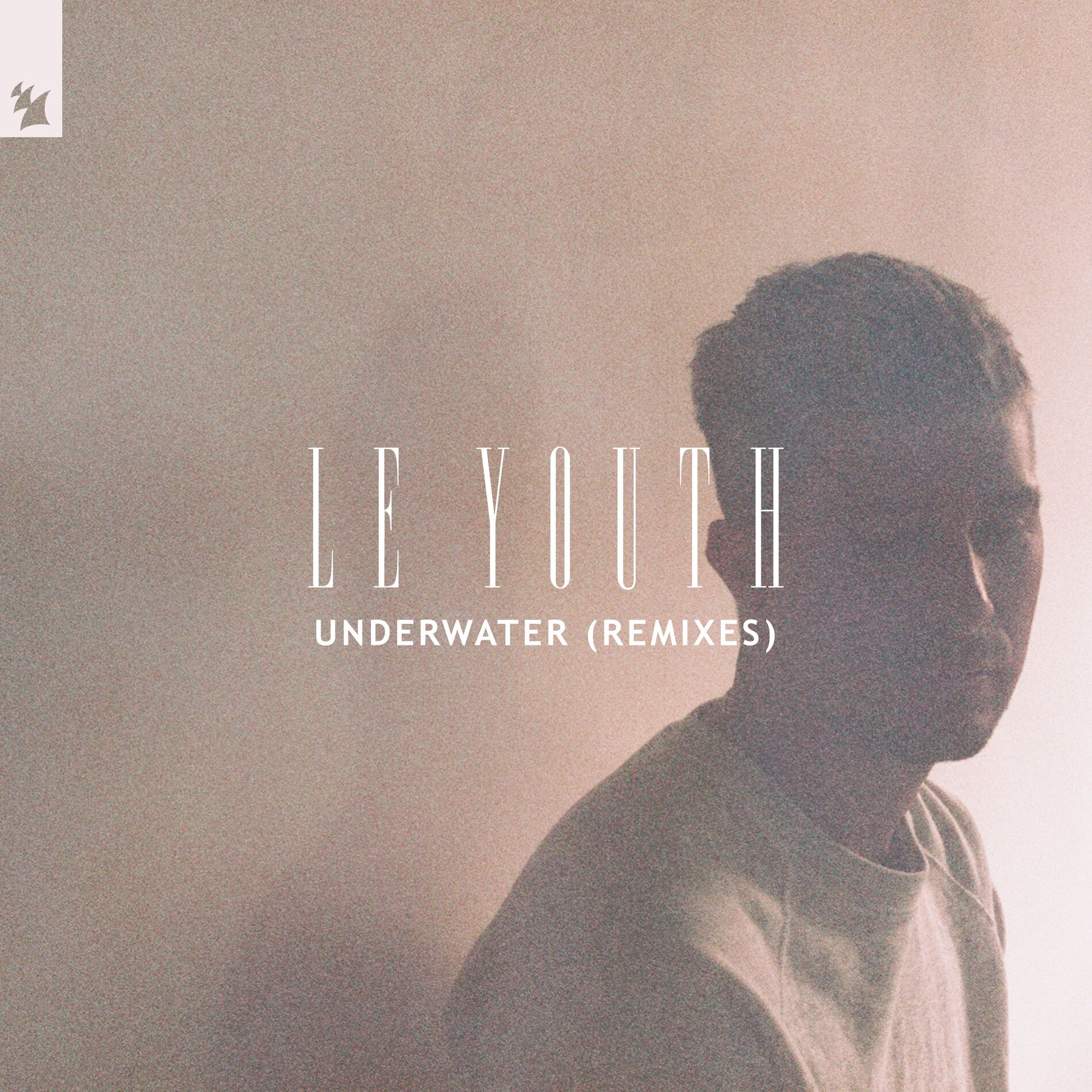 Album cover of Underwater (Remixes)