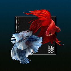 Cover of SSXUB