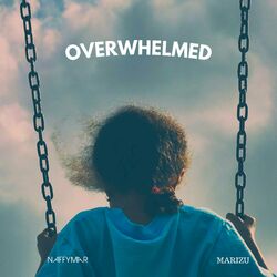 Cover of Overwhelmed
