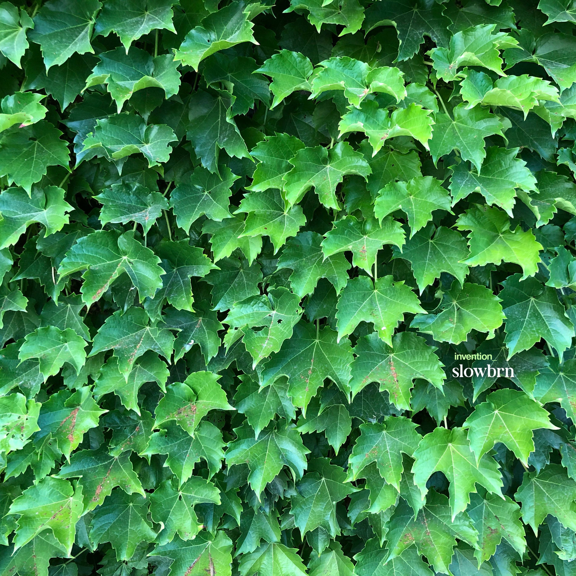 Album cover of Slowbrn