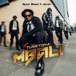 Cover of Tumetoka Mbali